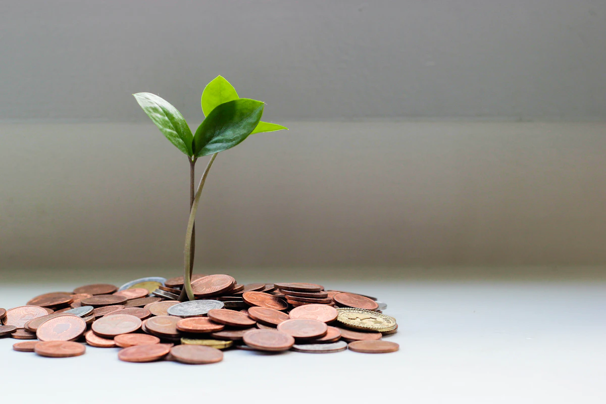 Finanzplanung und Festgeld 2026